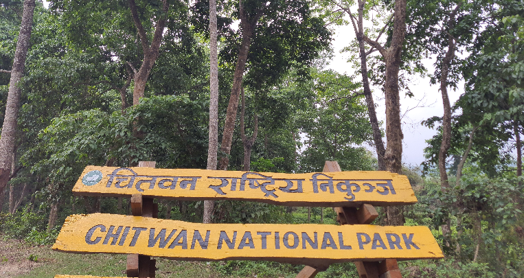 Chitwan National Park: Where Nepal's wildlife story comes alive